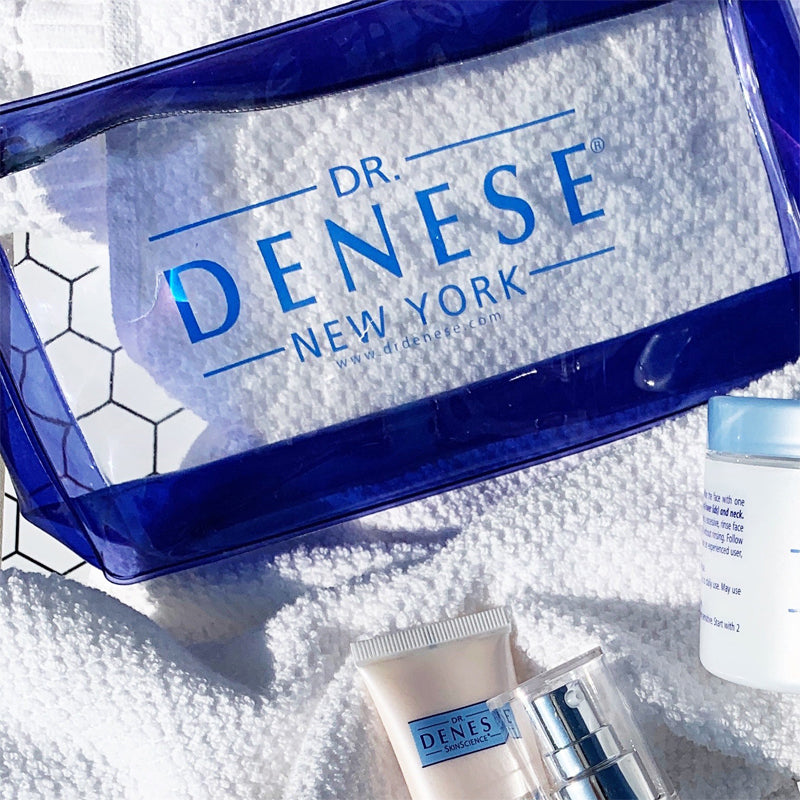 Dr. Denese Clear Travel Bag